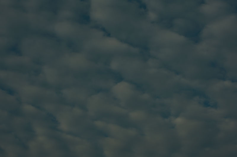 b0177233_449372.jpg