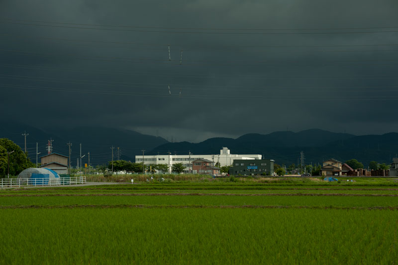 b0177233_455538.jpg