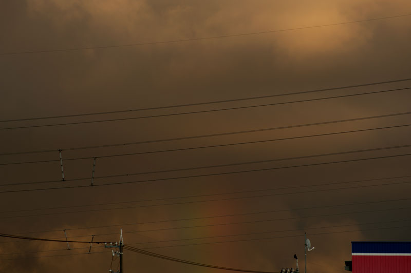 b0177233_4563888.jpg