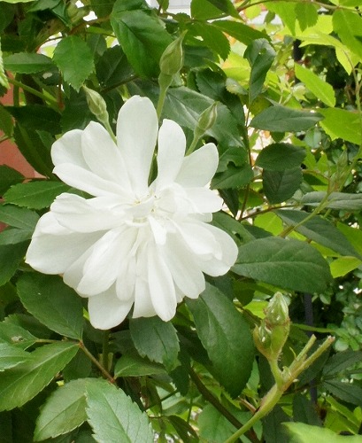 f0205733_0594044.jpg