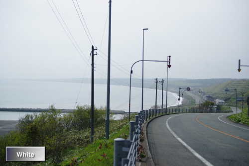 c0227134_20244374.jpg