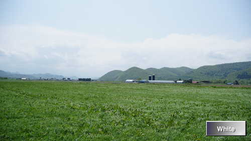 c0227134_20322182.jpg