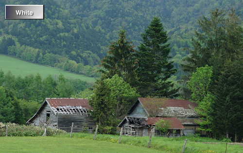 c0227134_2036448.jpg
