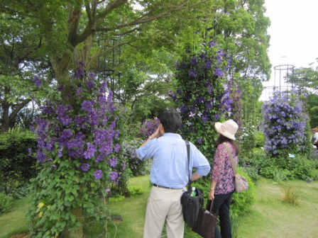 c0025140_06158.jpg