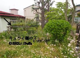 d0151144_2236530.jpg