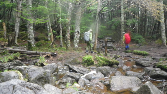 c0042847_10363525.jpg