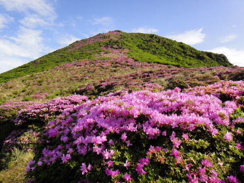 c0179351_1048528.jpg