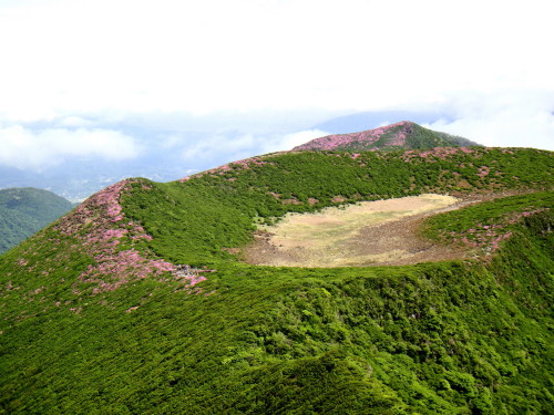 c0179351_11101063.jpg