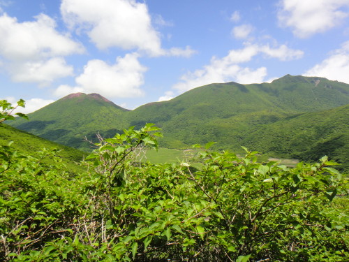 c0179351_11125185.jpg