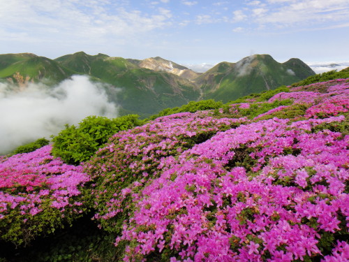 c0179351_1151131.jpg