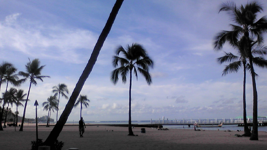 d0192952_1842463.jpg