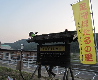 d0031853_5545079.jpg