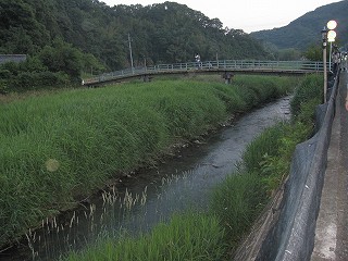 d0031853_556534.jpg