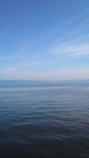 f0178153_7344911.jpg