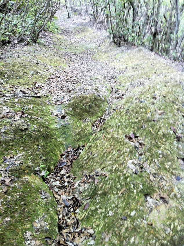 b0167256_5521847.jpg