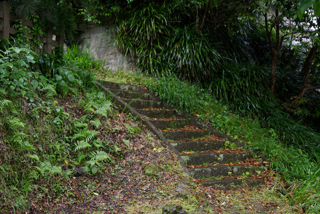 c0080357_934581.jpg