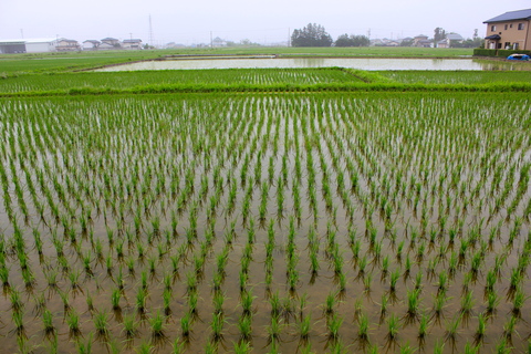 a0248459_19381636.jpg
