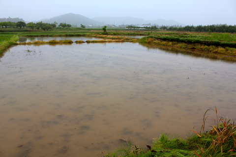 a0248459_761397.jpg