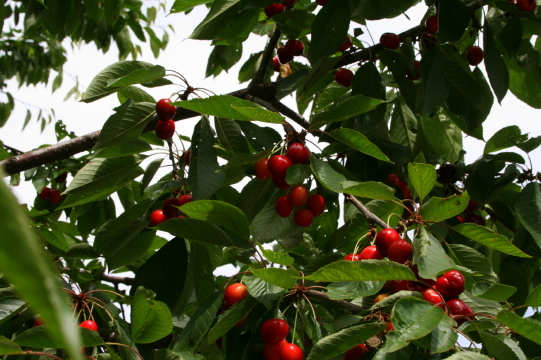 f0077159_2224143.jpg