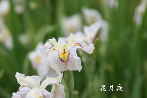 d0244960_2043045.jpg