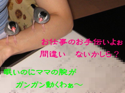 b0158061_2092019.jpg