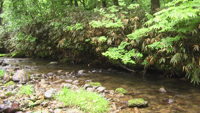b0208961_6332722.jpg