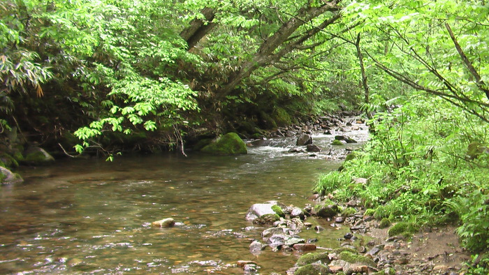 b0208961_6344354.jpg