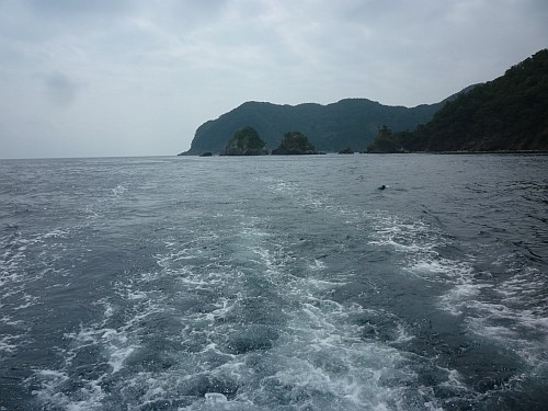 e0254365_2051779.jpg