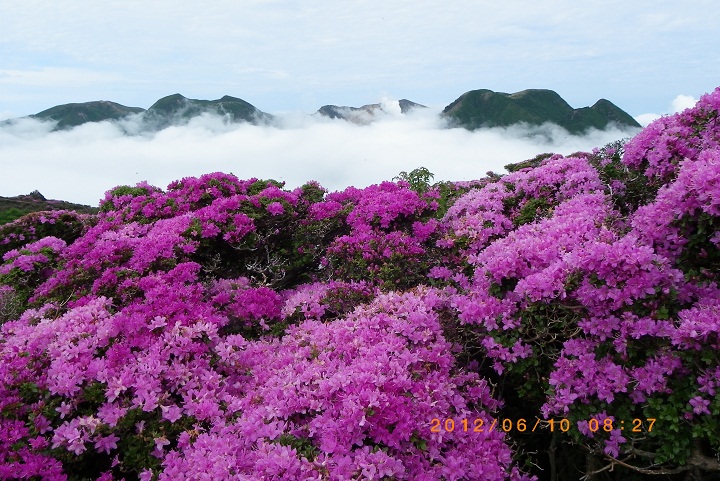f0016066_6291796.jpg
