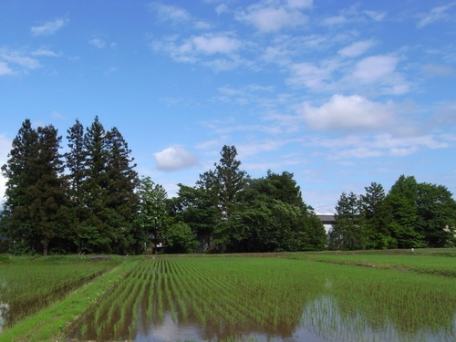 c0166668_2303371.jpg