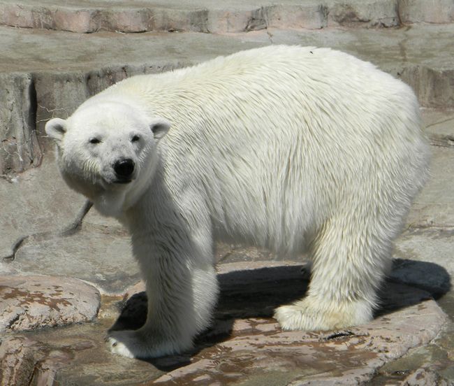 b0014576_2221327.jpg
