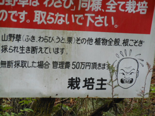 c0206177_8262689.jpg