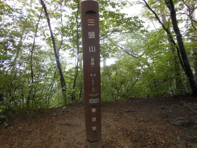c0206177_8275519.jpg