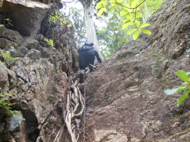 c0206177_8303257.jpg