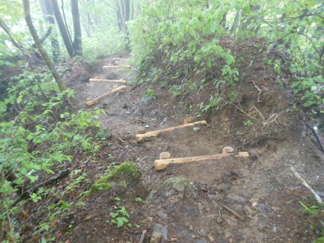 c0206177_830626.jpg