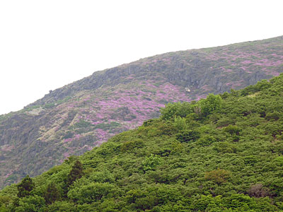 c0152779_19164154.jpg