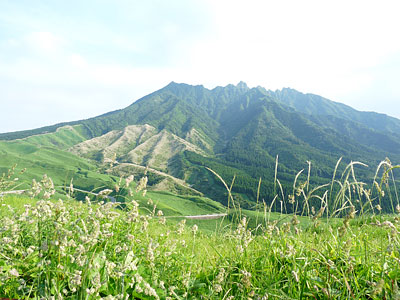 c0152779_1946789.jpg