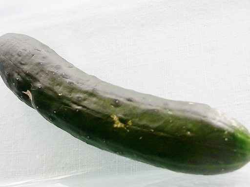 a0121782_12583112.jpg