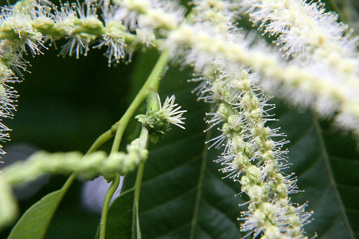 b0171185_22461310.jpg