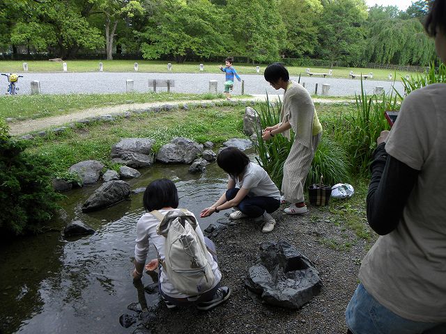 d0258487_8561260.jpg