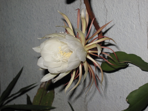 c0064389_12471826.jpg