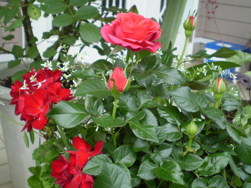 a0135990_2227465.jpg