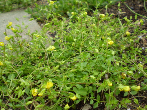 a0135990_22301888.jpg