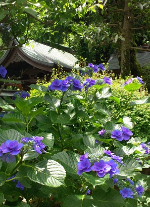 d0099791_023016.jpg