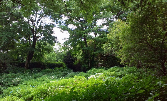 d0099791_0305955.jpg