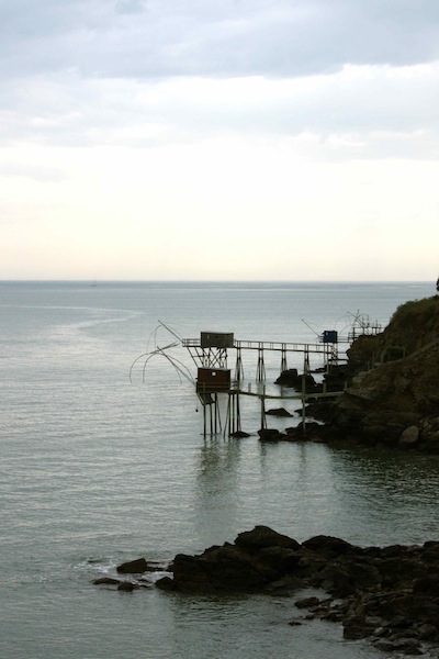 f0044892_4545229.jpg