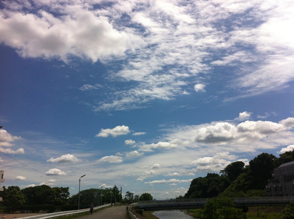 d0135694_27449.jpg