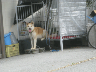e0212095_0375010.gif