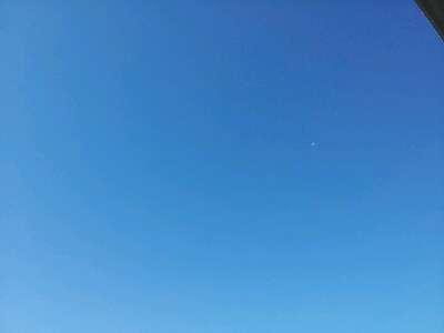 d0239796_644654.jpg