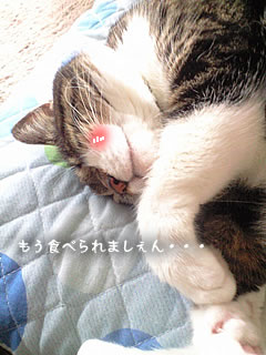 c0035001_14133831.jpg